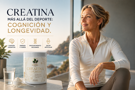 Creatina más allá del deporte: cognición y longevidad.